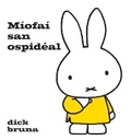 Cover: Miofai San Ospideal - Dalen Eireann