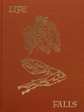 Cover: Sam Falls - After Life - Dr. Cantz'sche Verlagsgesellschaft mbH & Co. KG