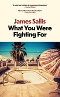 Cover: What You Were Fighting For - No Exit Press