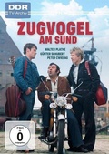 Cover: Zugvogel am Sund - OneGate Media