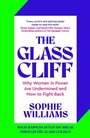 Cover: The Glass Cliff - Macmillan Business