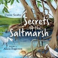 Cover: Secrets of the Saltmarsh - CSIRO Publishing