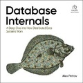 Cover: Database Internals - Ascent Audio