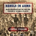 Cover: Rebels in Arms - Tantor Audio