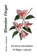 Cover: Blomster Faerger - Life is a Story Problem LLC