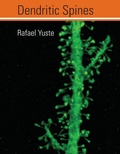Cover: Dendritic Spines - MIT Press