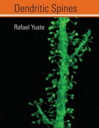 Enlarge image Cover: Dendritic Spines - MIT Press