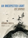 Cover: An Unexpected Light - Triangle Square