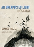 Cover: An Unexpected Light - Triangle Square