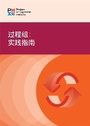 Cover: Process Groups (Simplified Chinese Edition) - Project Management Institute