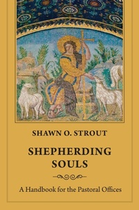 Abbildung von: Shepherding Souls - Seabury Books