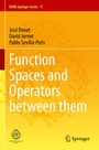 Cover: Function Spaces and Operators between them - Springer