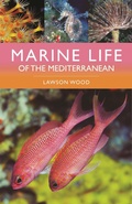 Cover: Marine Life of the Mediterranean - Bloomsbury Wildlife
