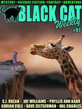 Cover: Black Cat Weekly #97 - Wildside Press