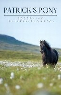 Enlarge image Cover: Patrick's Pony - Jane Badger Books
