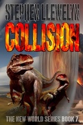 Cover: COLLISION - Fossil Rock