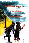 Cover: We Meet Again - Lineage Independent Publishing