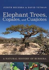 Abbildung von: Elephant Trees, Copales, and Cuajiotes - University of Arizona Press