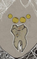 Cover: Tooth-Bird from Nextaro - IngramSpark
