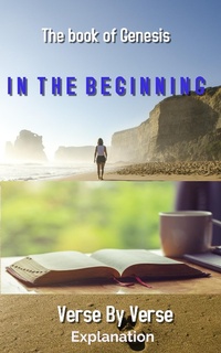 Abbildung von: The Book of Ginisis - Lulu.com
