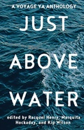 Cover: Just Above Water - DISCOVER NEW ART LLC