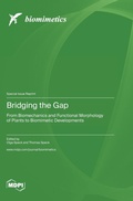 Cover: Bridging the Gap - MDPI AG
