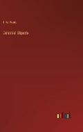 Cover: Celestial Objects - Outlook Verlag