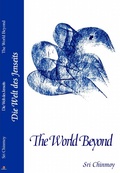 Cover: Die Welt des Jenseits - The Golden Shore