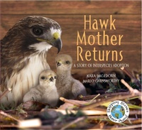 Enlarge image Cover: Hawk Mother Returns - Web of Life Children's Books