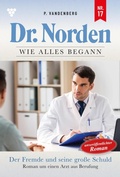 Cover: Der Fremde und seine gro&szlig;e Schuld - Blattwerk Handel GmbH