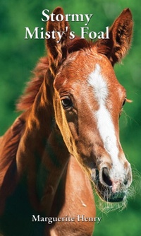 Abbildung von: Stormy, Misty's Foal - Anpan Publications