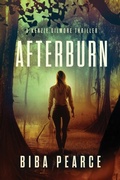 Cover: Afterburn - Liquid Mind Media, LLC