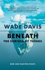 Cover: Beneath the Surface of Things - Greystone Books