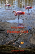 Cover: Flamingo-Gold - Achterland