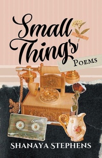 Abbildung von: Small Things - Shanaya Stephens