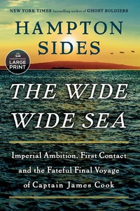 Enlarge image Cover: The Wide Wide Sea - Random House Large Print