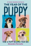 Cover: The Year of the Puppy - Viking Books for Young Readers