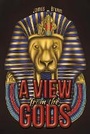 Cover: A View from the Gods - Austin Macauley Publishers