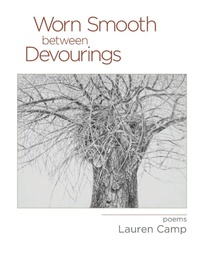 Enlarge image Cover: Worn Smooth between Devourings - NYQ Books