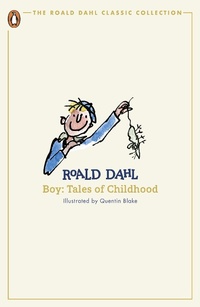 Abbildung von: Boy - Penguin Books Ltd