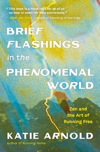 Abbildung von: Brief Flashings in the Phenomenal World - Parallax Press