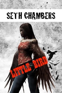 Enlarge image Cover: Little Bird - Seth Chambers