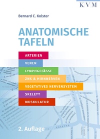 Abbildung von: Anatomische Tafeln - KVM - Der Medizinverlag
