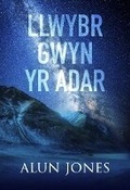 Cover: Llwybr Gwyn yr Adar - Gwasg y Bwthyn Cyf