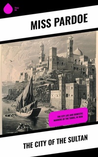 Abbildung von: The City of the Sultan - Sharp Ink