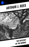 Cover: The Mystery of the Downs - Sharp Ink