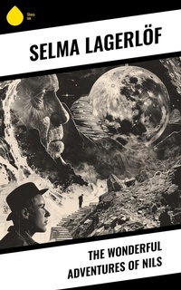 Enlarge image Cover: The Wonderful Adventures of Nils - Sharp Ink