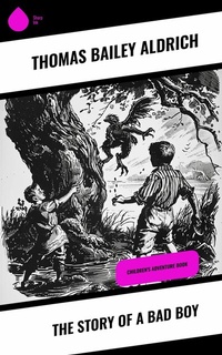 Abbildung von: The Story of a Bad Boy - Sharp Ink