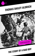 Cover: The Story of a Bad Boy - Sharp Ink