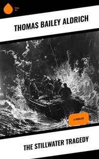 Enlarge image Cover: The Stillwater Tragedy - Sharp Ink